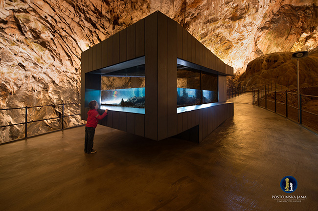 Le Grotte di Postumia: un'incredibile esperienza sotterranea