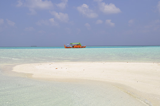 Maldive alternative