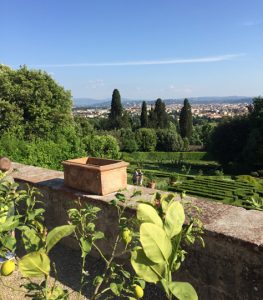 panorama Villa Petraia
