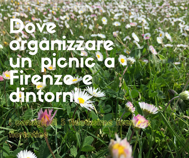 Dove-organizzare-un-picnic-a-Firenze-e-dintorni