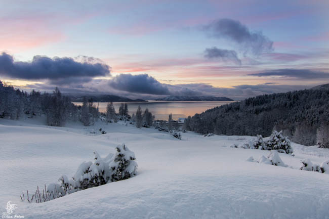 aurora boreale in Lapponia